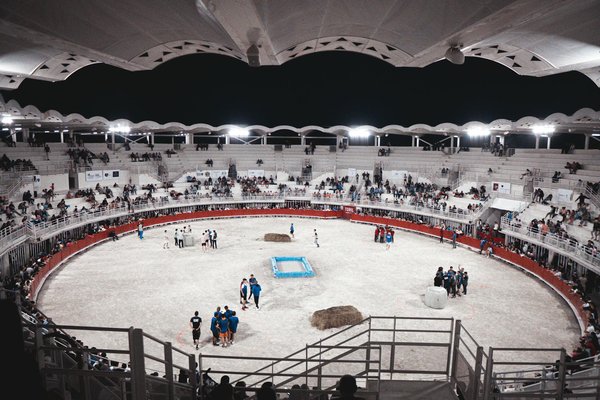 Découvrez les barres énergétiques baouw pour un sport optimal